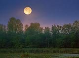 Setting Moon_21114-6